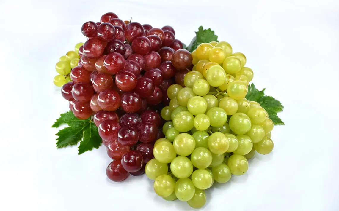 Fruit 0