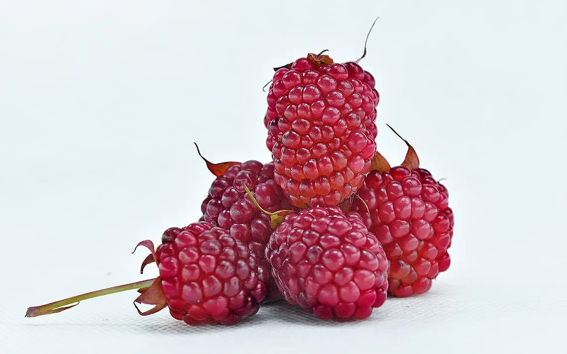 Fruit 10