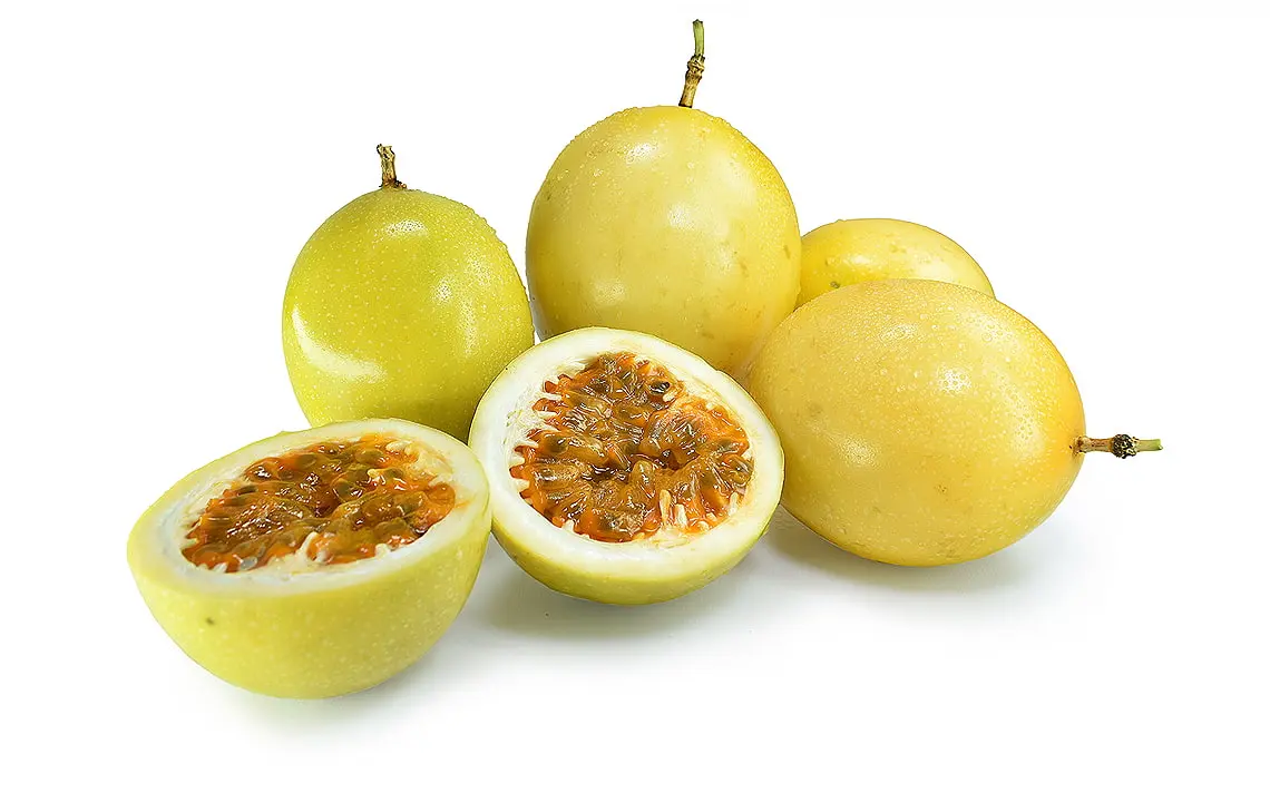 Fruit 13
